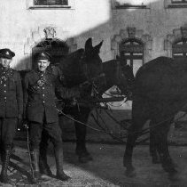 William Johnston: A halt on mounted parade